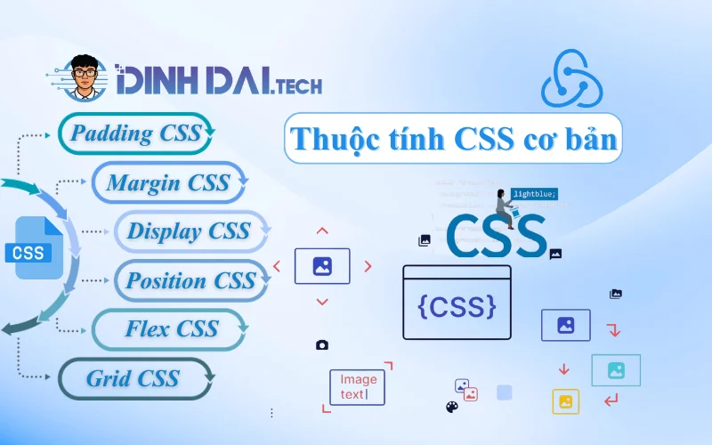 Thuộc tính CSS cơ bản