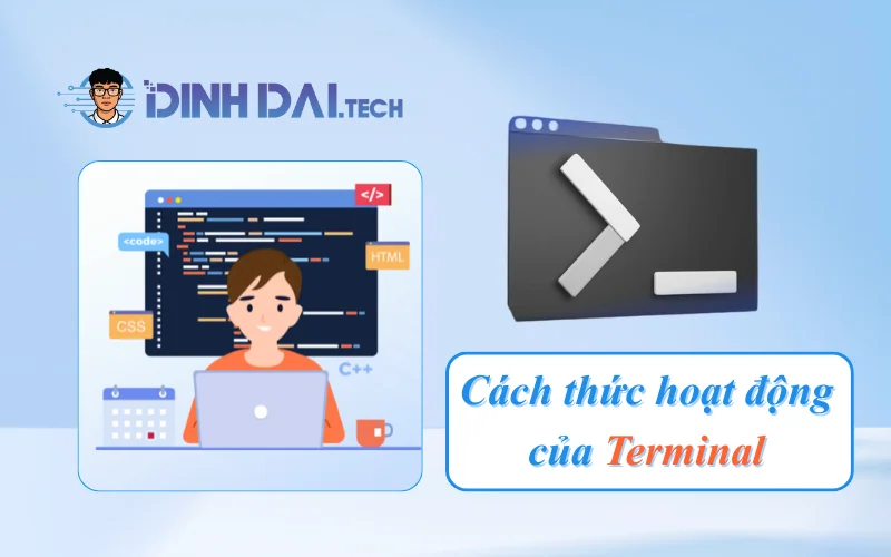 Cách thức hoạt động của Terminal