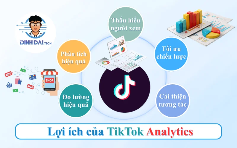 _Lợi ích của TikTok Analytics đối với cá nhân & doanh nghiệp