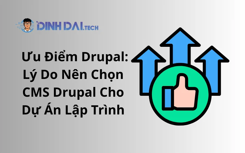 Ưu Điểm Drupal_ Lý Do Nên Chọn CMS Drupal Cho Dự Án Lập Trình