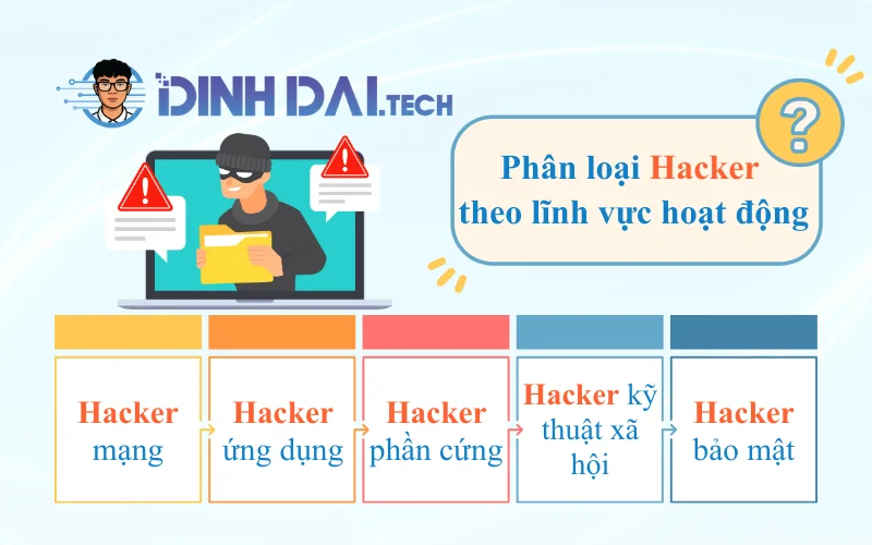 Phân loại theo lĩnh vực hoạt động