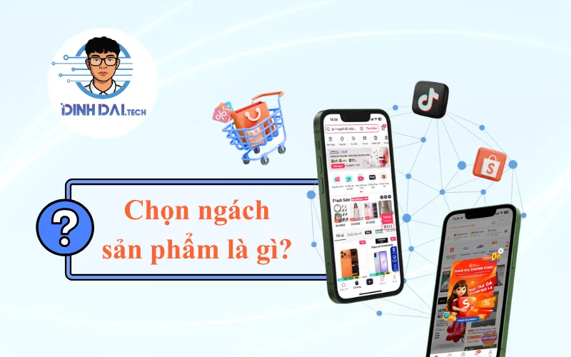 Chọn ngách sản phẩm là gì Vì sao quyết định 80% thành công